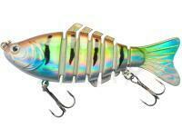 Esca Jaxon Atract Caro 9.5cm 15g - H