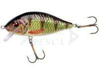 Esca Jaxon Holo Select Karaś Nature 3D 7cm 13g - OH