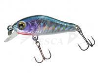 Esca Jenzi T-Rex Wobbler Minnow Trout 35SR 35mm 2g - D