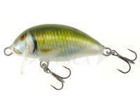 Esca Kenart Chubby 4cm 3.5g - GF
