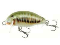 Esca Kenart Chubby 4cm 3.5g - M