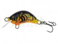 Esca Kenart Hunter 2cm HX