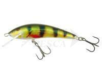 Esca Kenart Sneck Shallow 10cm 18g - NP