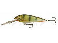 Hard Lure Kenart Troll SDR 10cm 22g - PG