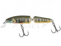 Esche Salmo Fanatic IF7F 7cm - Lake Charr (LC)