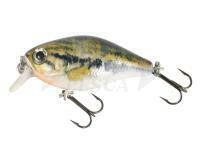 Artificiale rigido Mikado Fishunter Bold Head 40mm 3.5g - Y36