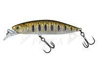 Esca Molix Rolling Minnow 60mm 8.5g - 512 MX Brown Trout