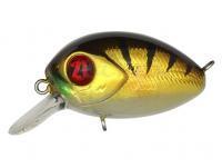 Esca Pontoon21 Baby Red Rag 32F SR | 32mm 4.8g - 307 Crash HG Gold Perch