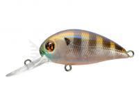 Esca Pontoon21 Hypnose 38F MDR | 38mm 4g - 108 Ghost Gill