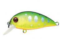 Esca Pontoon21 Hypnose 38F SR | 38mm 3.7g -  R10 Chartreuse Yamame Tiger