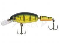 Esca Quantum Jointed Minnow SR 5.5cm 8g - hot perch