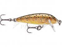 Esca Rapala CountDown 3cm - Brown Trout