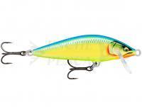 Esche Rapala CountDown Elite 5.5cm 5g - Gilded Parrot (GDPRT)