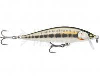 Esche Rapala CountDown Elite 9.5cm 14g - Gilded Minnow (GDMN)