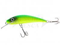 Esca River Custom Baits Fury 7 cm 6g - T006