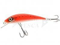 Esca River Custom Baits Fury 7 cm 6g - T012