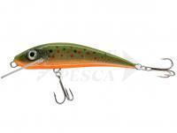 Esca River Custom Baits Fury 7 cm 6g - T015