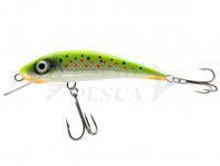 Esca River Custom Baits Fury 7 cm 6g - T017