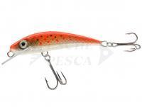 Esca River Custom Baits Fury 7 cm 6g - T018