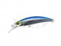 DUO Esche Rough Trail Blazin 70 | 70mm 20g | 2-3/4in 3/4oz - GHN0172 Clear Blue Back