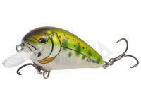 Esca Salmo Butcher BR5F | 5cm 5g - Yamame Ayu