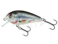 Esca Salmo Butcher BR5S | 5cm 7g - HRD (Holographic Real Dace)