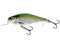 Esche Salmo Executor IEX5SR - Olive Bleak