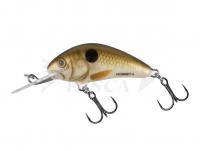 Esche Salmo Hornet H5F Pearl Shad