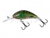 Esche Salmo Hornet Rattlin H3.5 - Green Gill Clear