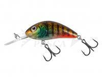 Esche Salmo Hornet Rattlin H3.5 - Hot Gill Clear