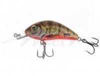 Esche Salmo Hornet Rattlin H3.5 -  Yellow Holographic Perch