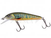 Esche Salmo Minnow Floating 5 | 5cm 3g | 2" 1/16oz - Lake Charr