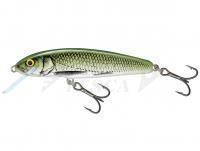 Esche Salmo Minnow Floating 5 | 5cm 3g | 2" 1/16oz - Olive Bleak