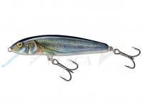 Esche Salmo Minnow Floating 5 | 5cm 3g | 2" 1/16oz - Spirlin