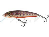 Esche Salmo Minnow Floating 7 | 7cm 6g | 2 3/4" 3/16oz - Fresh Water Minnow