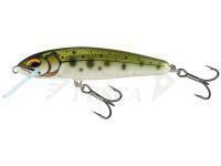 Esche Salmo Minnow Floating 7 | 7cm 6g | 2 3/4" 3/16oz - Yasame Ayu
