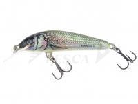 Esche Salmo Minnow M5F - Holo Bleak