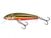 Esche Salmo Minnow M5S - Rainbow Dace