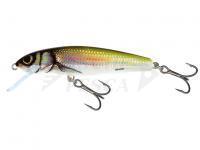 Esca Salmo Minnow M6S 6cm - Holo Bleak