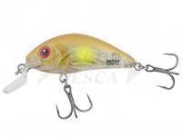 Esche Salmo Rattlin Hornet Shallow SR 4.5cm 5.5g - Clear Ayu (CAYU)