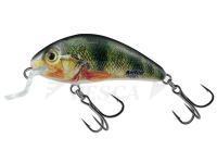 Esche Salmo Rattlin Hornet Shallow SR 4.5cm 5.5g - Supernatural Perch (SP)