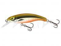 Esche Salmo Slick Stick 6cm - Hot Olive (HO)