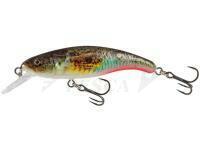 Esche Salmo Slick Stick 6cm - Supernatural Gobie