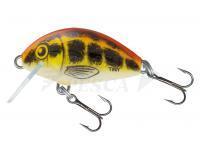 Esche Salmo Tiny IT3F Baby Minnow (BMI)