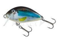 Esche Salmo Tiny IT3F - Holo Smelt (HSM)