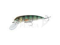 Esca Savage Gear Sucker Flanker 20cm 58g - Perch Glitter
