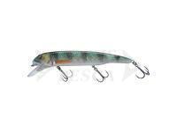Esca Savage Gear Sucker Flanker 25cm 107g - Perch Glitter