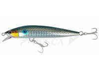 Esche Shimano Exsence Blast Shad 170mm 55g -  002 Bora