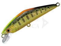 Esca Smith D-Contact 50mm 4.5g - 52 CG Indicator