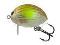 Esche Salmo Lil`Bug BG2F - Clear AYU